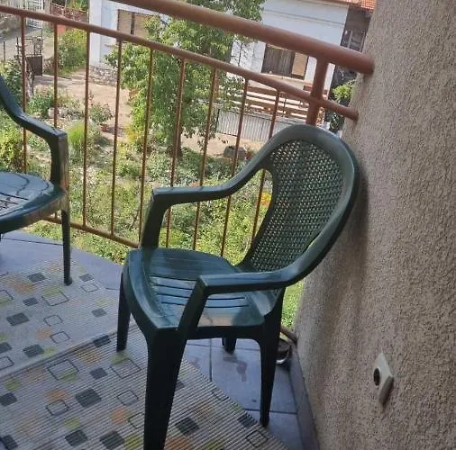 Aleksandar * ピロト