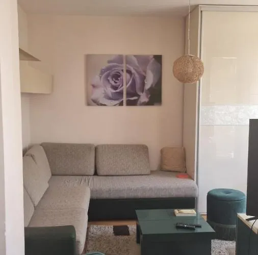 Aleksandar * ピロト